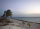 Pink Beach