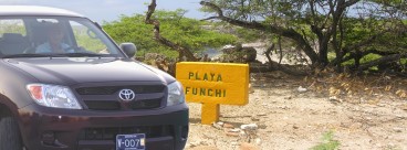 Rent A Car on Bonaire