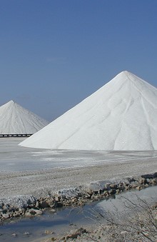 Salt Mine